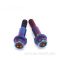 Customized Processing Titanium Flange Head Hex Bolt